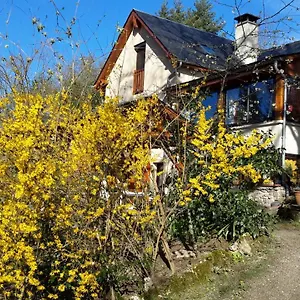 https://le-casino.midi-pyreneeshotels.com