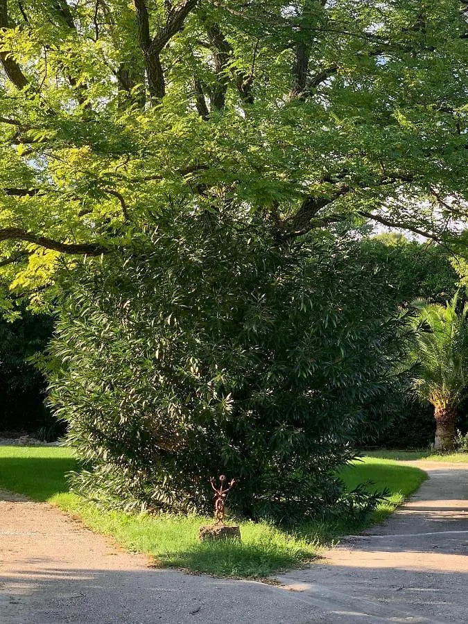 Guest house La Parenthese Saint Donat Hotel Aix-en-Provence